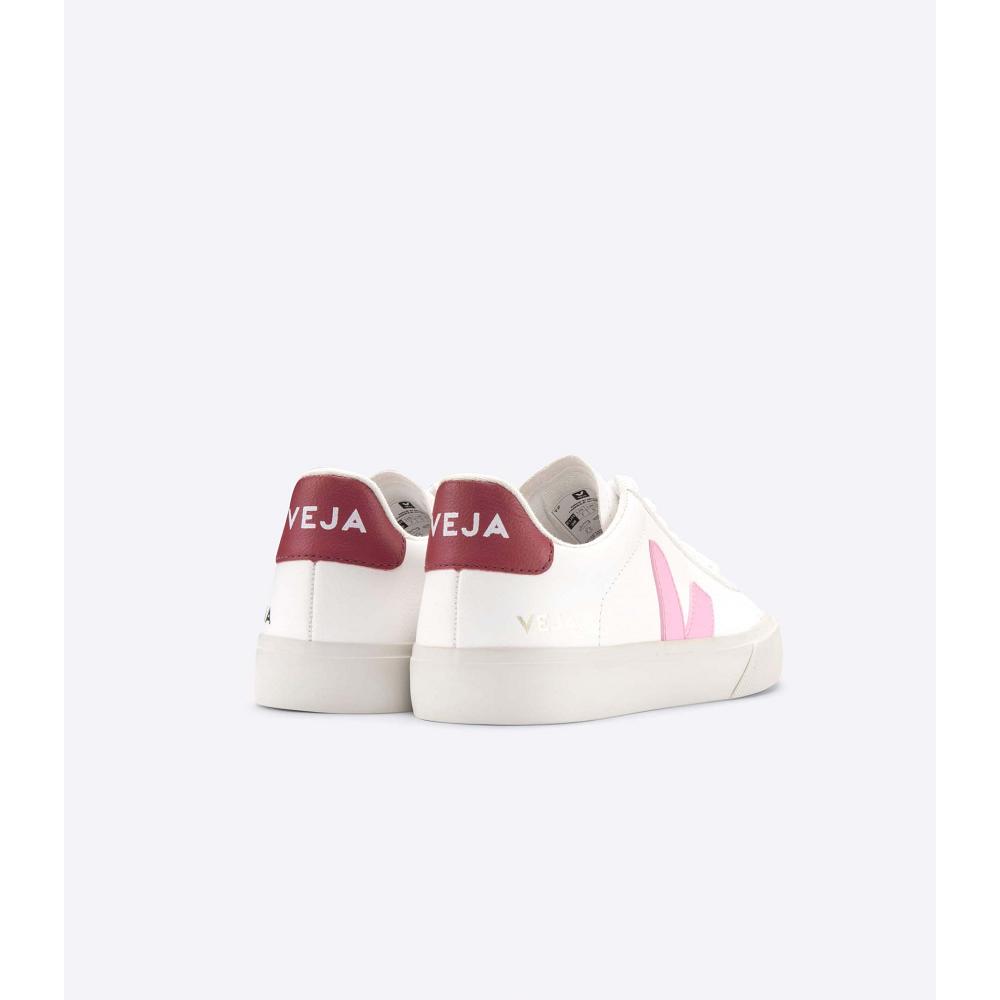 Men's Veja CAMPO CHROMEFREE Low Tops Sneakers White/Pink | SG 193WNB